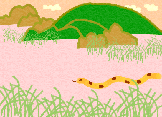 ���{��ւ�