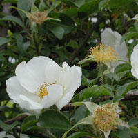 �i�j���C�o����