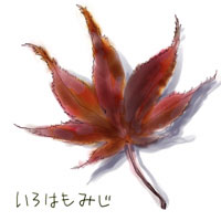 いろはもみじ