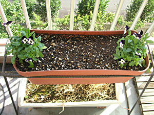 �v�����^�[