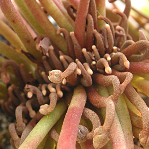 �V�N������