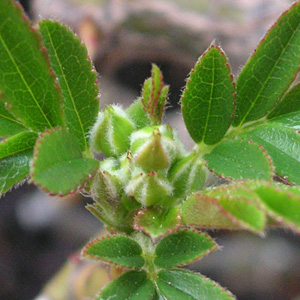 �����b�R�E�o��