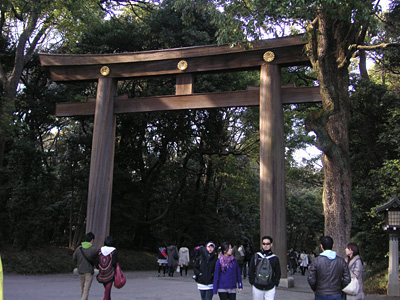 �����_�{