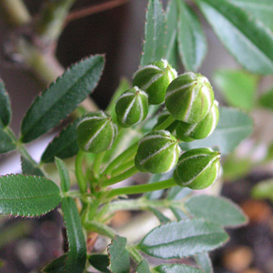 �����b�R�E�o��