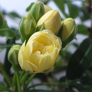 �����b�R�E�o��