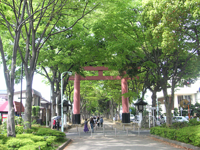 �X��_�Ђ̎Q��