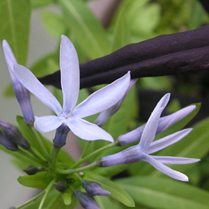 �`���E�W�\�E