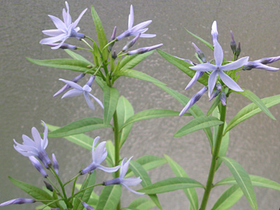 �`���E�W�\�E