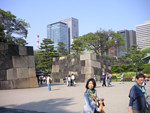 �c�����䉑