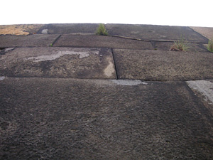 �c�����䉑