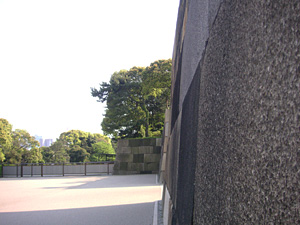 �c�����䉑