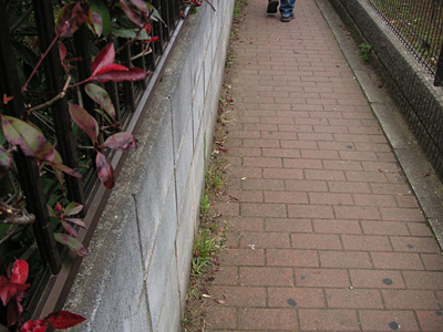 �����o����