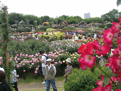 �����o����