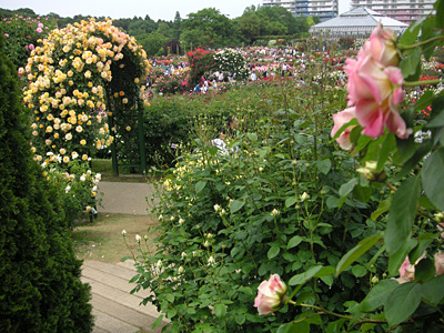 �����o����