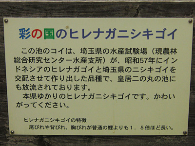 �q���i�K�j�V�L�S�C