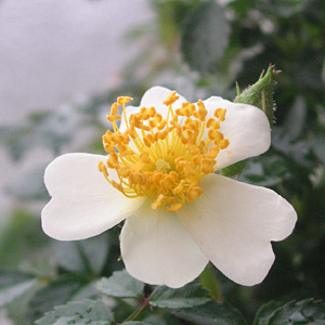 ���v���o��