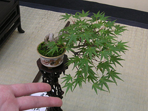 ���i�~��