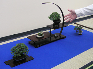 ���i�~��