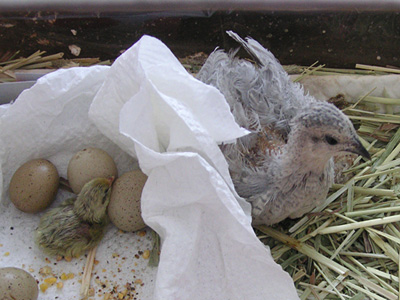 �q���E�Y��