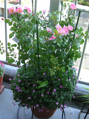 ビンゴメイディランド