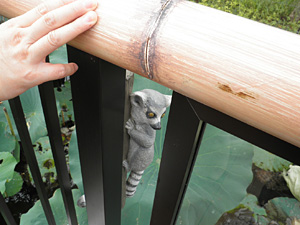 フィギュア・ワオキツネザル